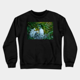 Three Great White Egret Chicks on the Nest. Cute baby birds. Crewneck Sweatshirt